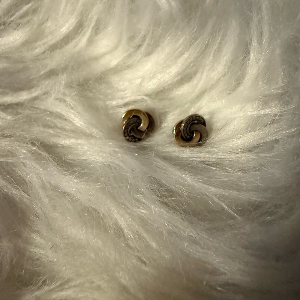 Pandora 2 Tone Earring Studs